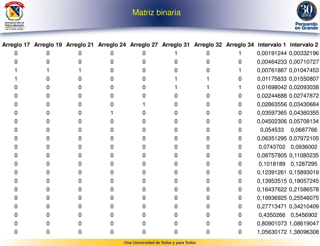 Matriz binaria Arreglo 17 Arreglo 19 Arreglo 21 Arreglo 24 Arreglo 27