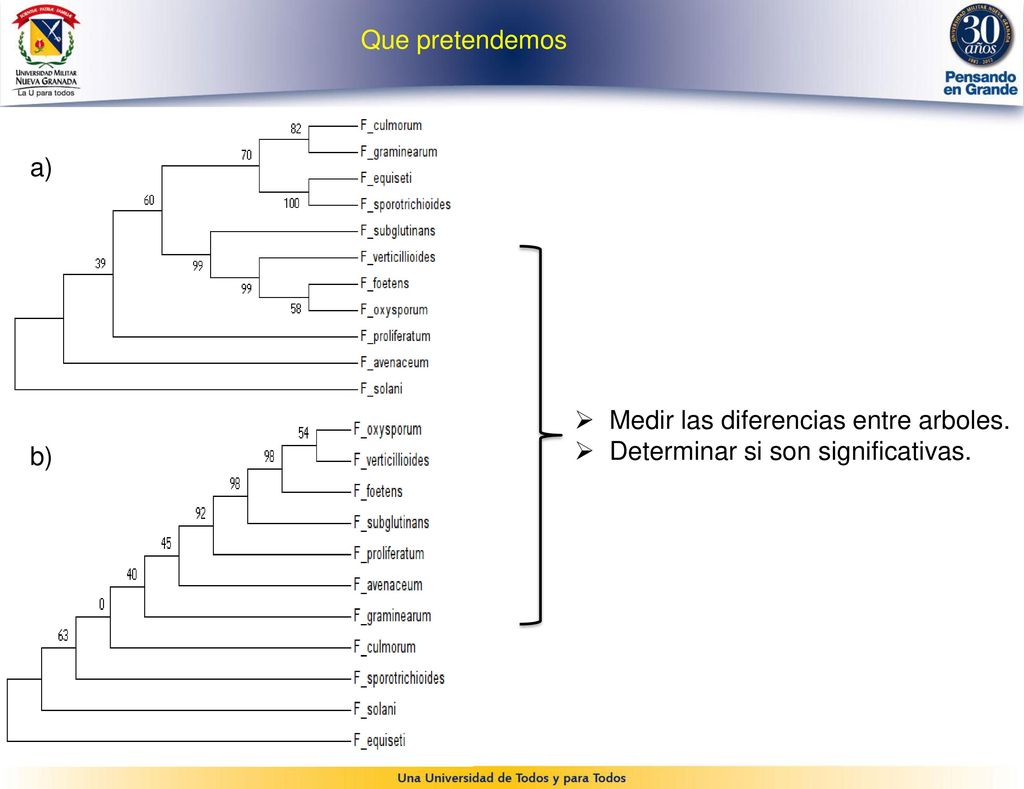 Que pretendemos a) Medir las diferencias entre arboles. Determinar si son significativas. b)