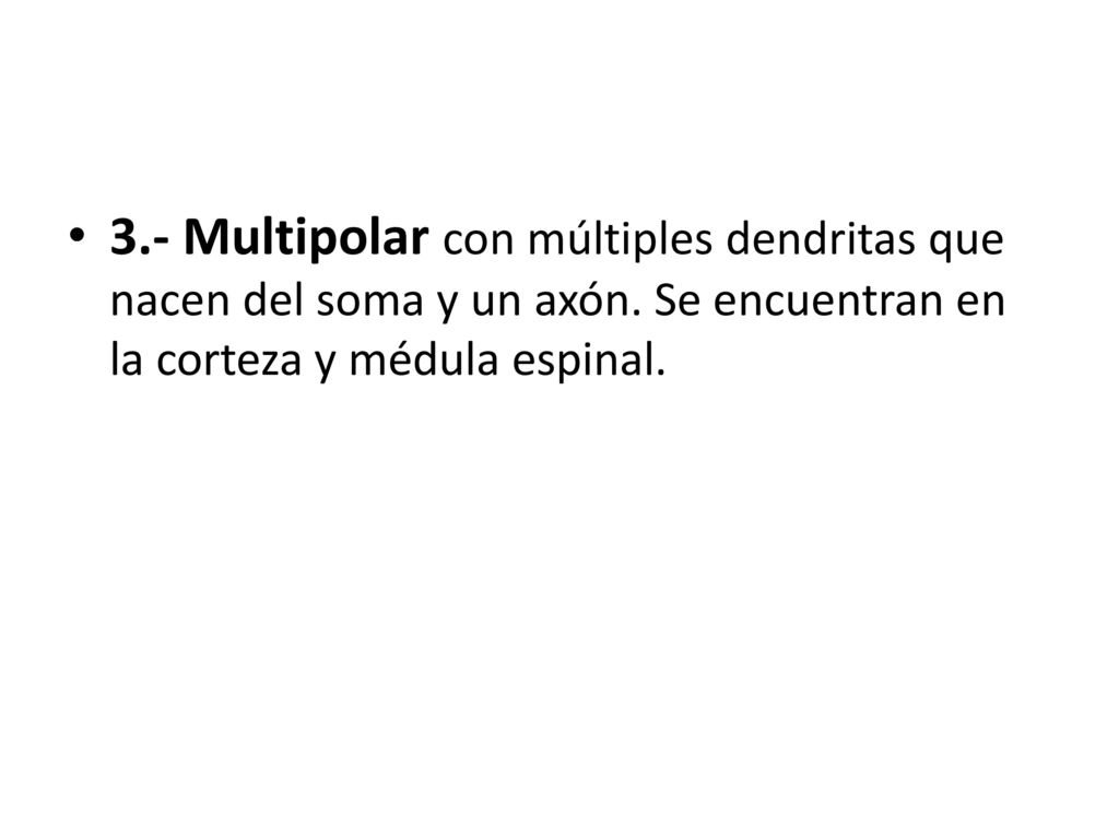 3. - Multipolar con múltiples dendritas que nacen del soma y un axón