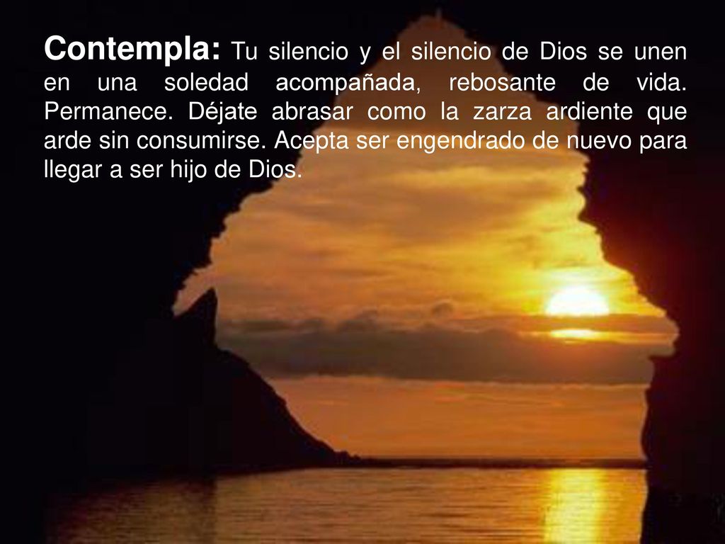 Contempla: Tu silencio y el silencio de Dios se unen en una soledad acompañada, rebosante de vida.