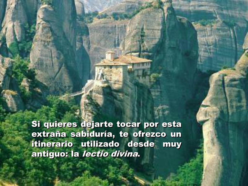 Si quieres dejarte tocar por esta extraña sabiduría, te ofrezco un itinerario utilizado desde muy antiguo: la lectio divina.