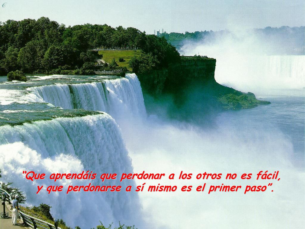 Que aprendáis que perdonar a los otros no es fácil,