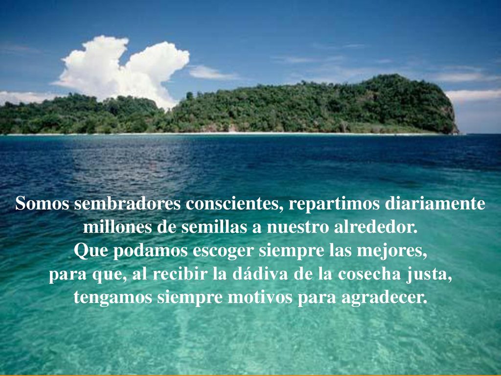 …... Somos sembradores conscientes, repartimos diariamente millones de semillas a nuestro alrededor.