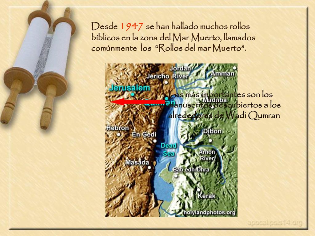 Desde 1947 se han hallado muchos rollos bíblicos en la zona del Mar Muerto, llamados comúnmente los Rollos del mar Muerto .