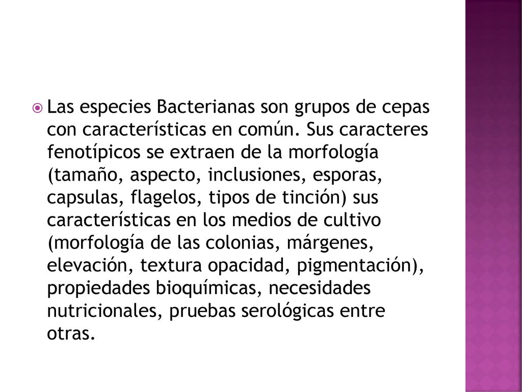 Las especies Bacterianas son grupos de cepas con características en común.