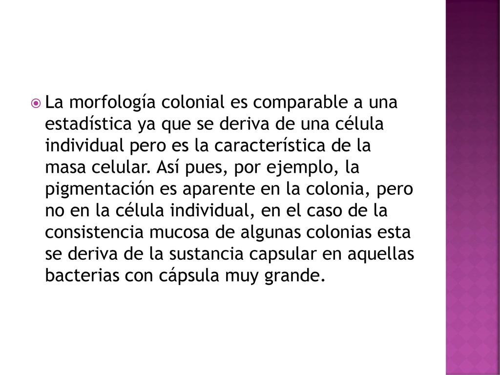 La morfología colonial es comparable a una estadística ya que se deriva de una célula individual pero es la característica de la masa celular.