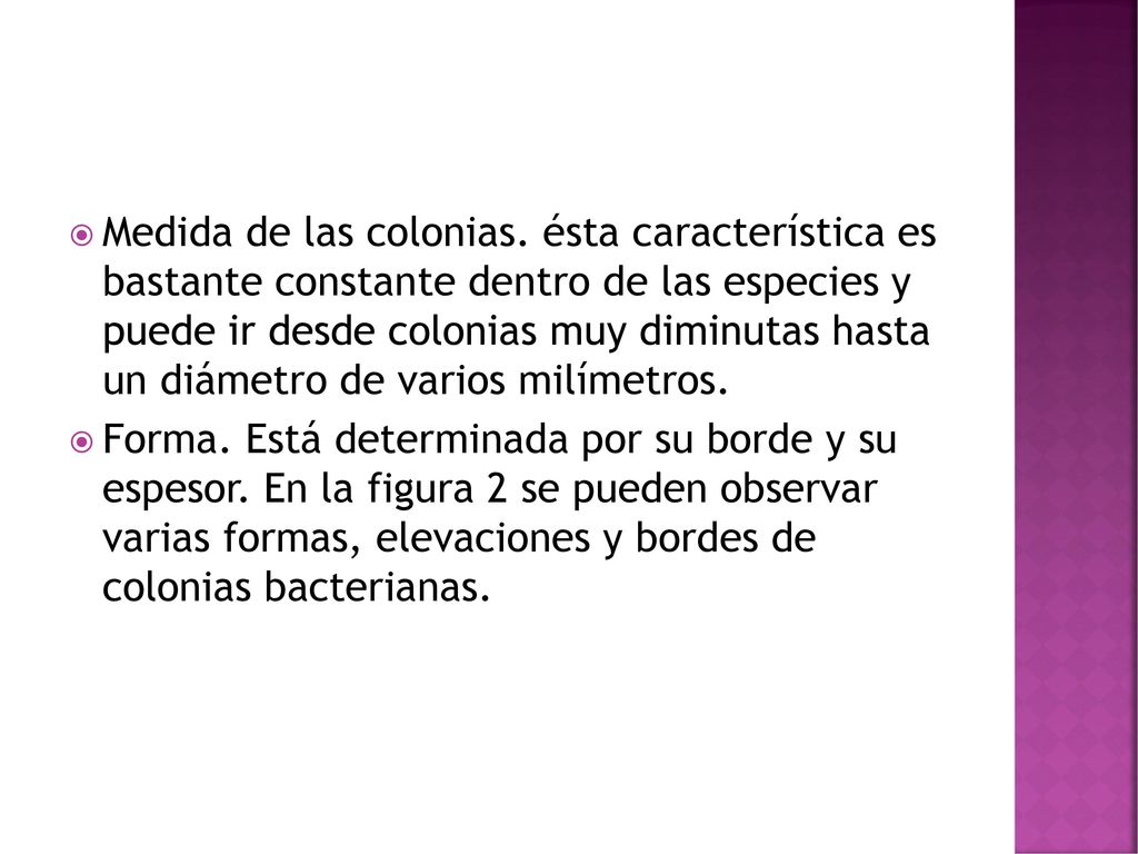 Medida de las colonias. ésta característica es bastante constante dentro de las especies y puede ir desde colonias muy diminutas hasta un diámetro de varios milímetros.