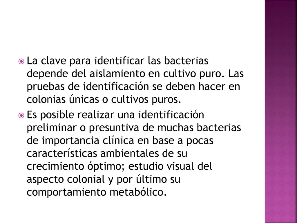 La clave para identificar las bacterias depende del aislamiento en cultivo puro. Las pruebas de identificación se deben hacer en colonias únicas o cultivos puros.