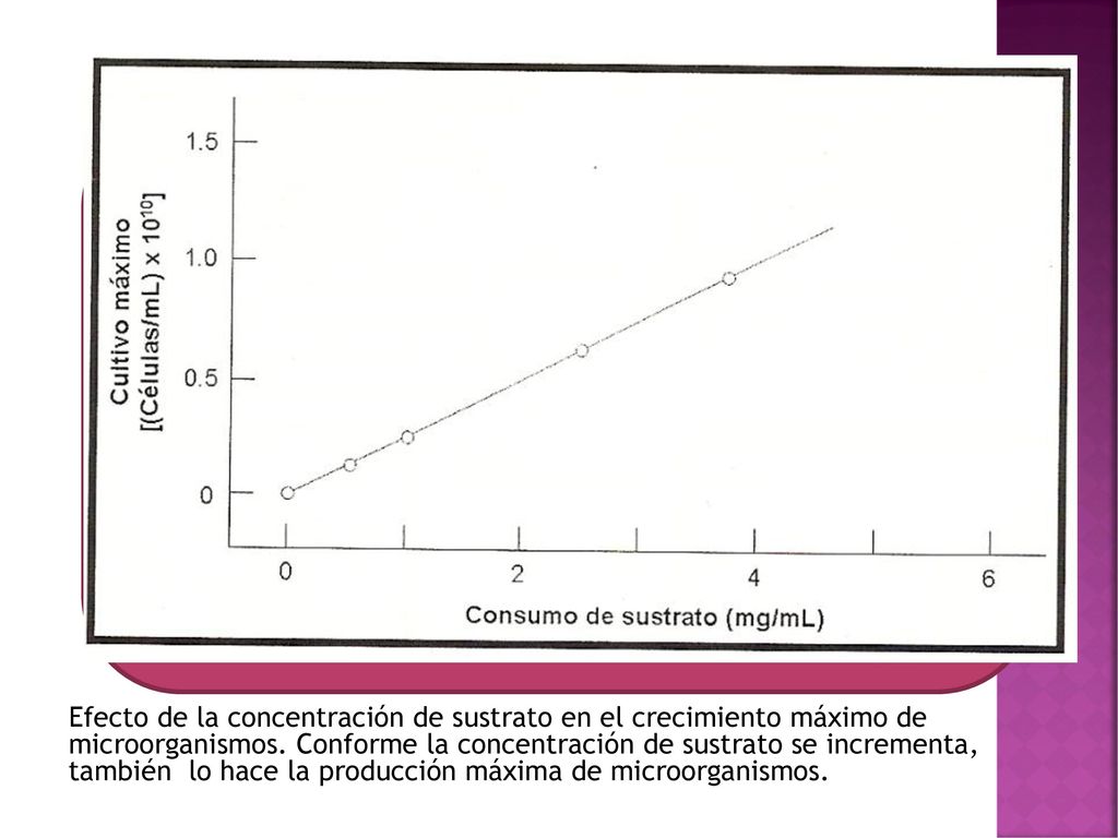Efecto de la concentración de sustrato en el crecimiento máximo de microorganismos.