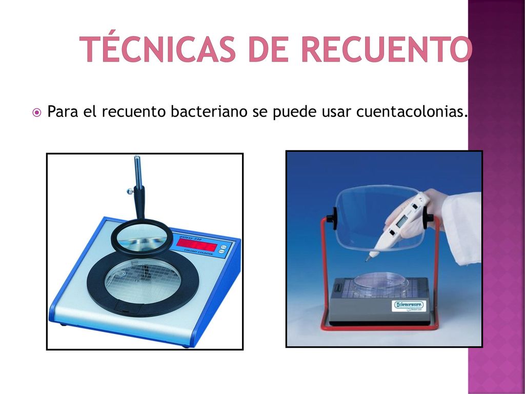 TÉCNICAS DE RECUENTO Para el recuento bacteriano se puede usar cuentacolonias.