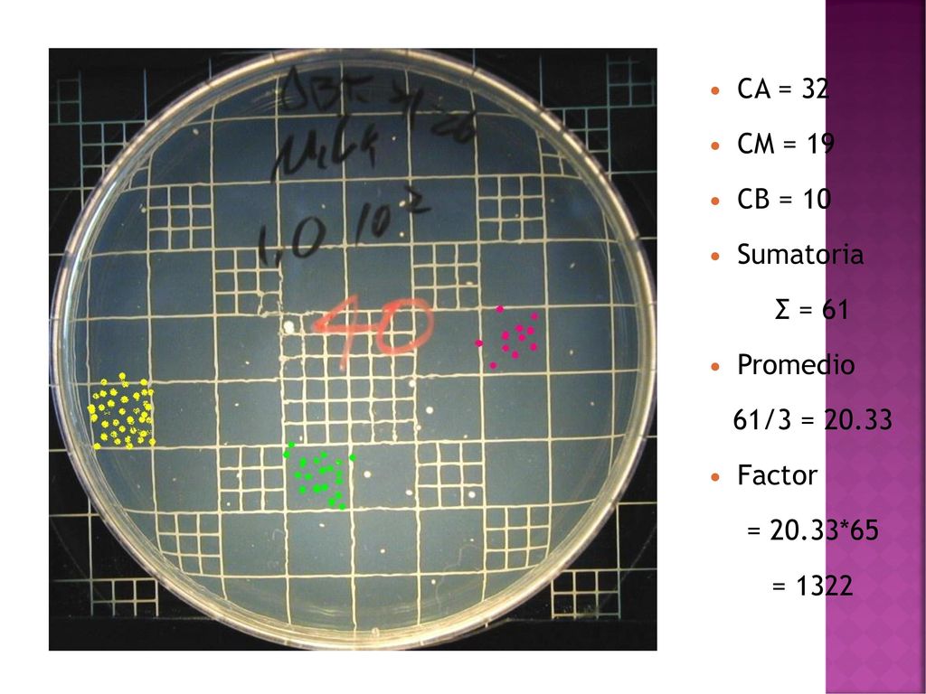 CA = 32 CM = 19 CB = 10 Sumatoria Σ = 61 Promedio 61/3 = Factor = 20.33*65 = 1322