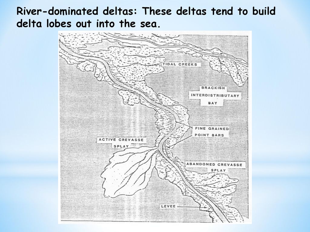 River-dominated deltas: These deltas tend to build delta lobes out into the sea.
