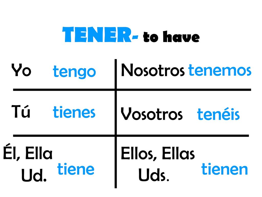 TENER- to have Yo tengo Nosotros tenemos Tú tienes Vosotros tenéis