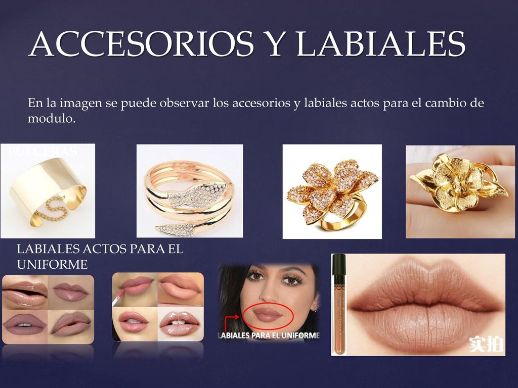 ACCESORIOS Y LABIALES En la imagen se puede observar los accesorios y labiales actos para el cambio de modulo.
