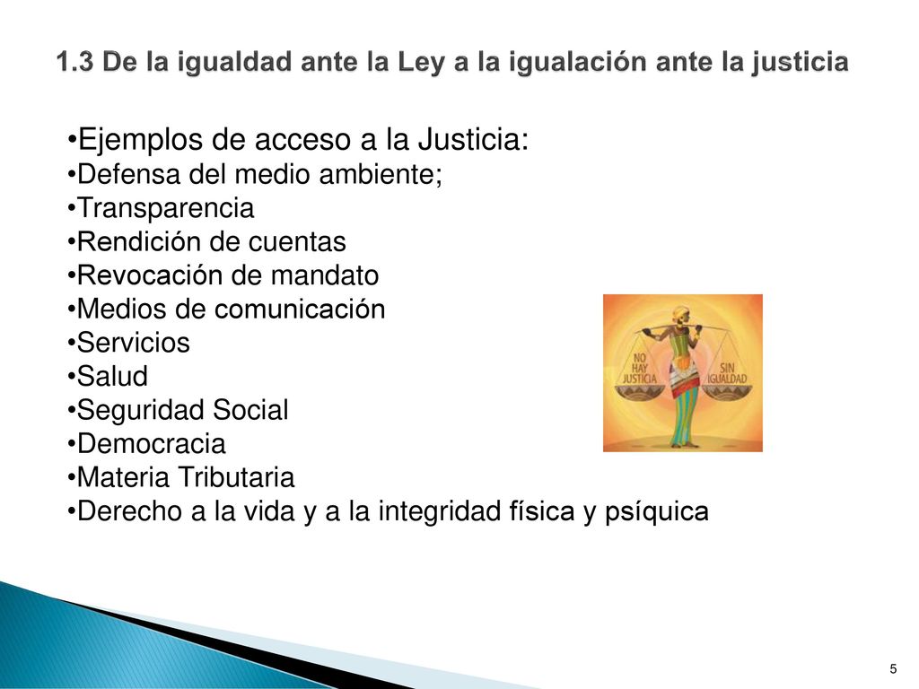 1.3 De la igualdad ante la Ley a la igualación ante la justicia