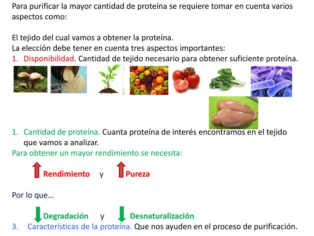 Para purificar la mayor cantidad de proteína se requiere tomar en cuenta varios aspectos como: