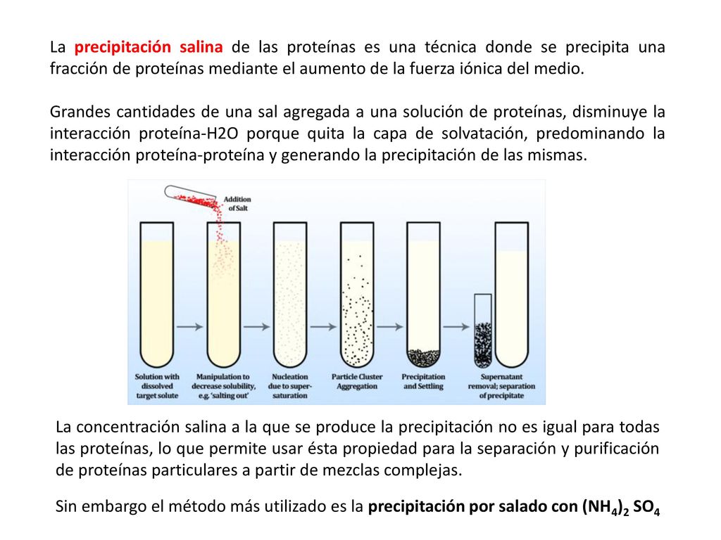 La precipitación salina de las proteínas es una técnica donde se precipita una fracción de proteínas mediante el aumento de la fuerza iónica del medio.