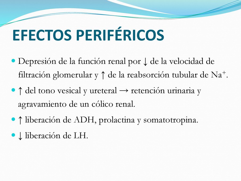 EFECTOS PERIFÉRICOS Depresión de la función renal por ↓ de la velocidad de filtración glomerular y ↑ de la reabsorción tubular de Na+.