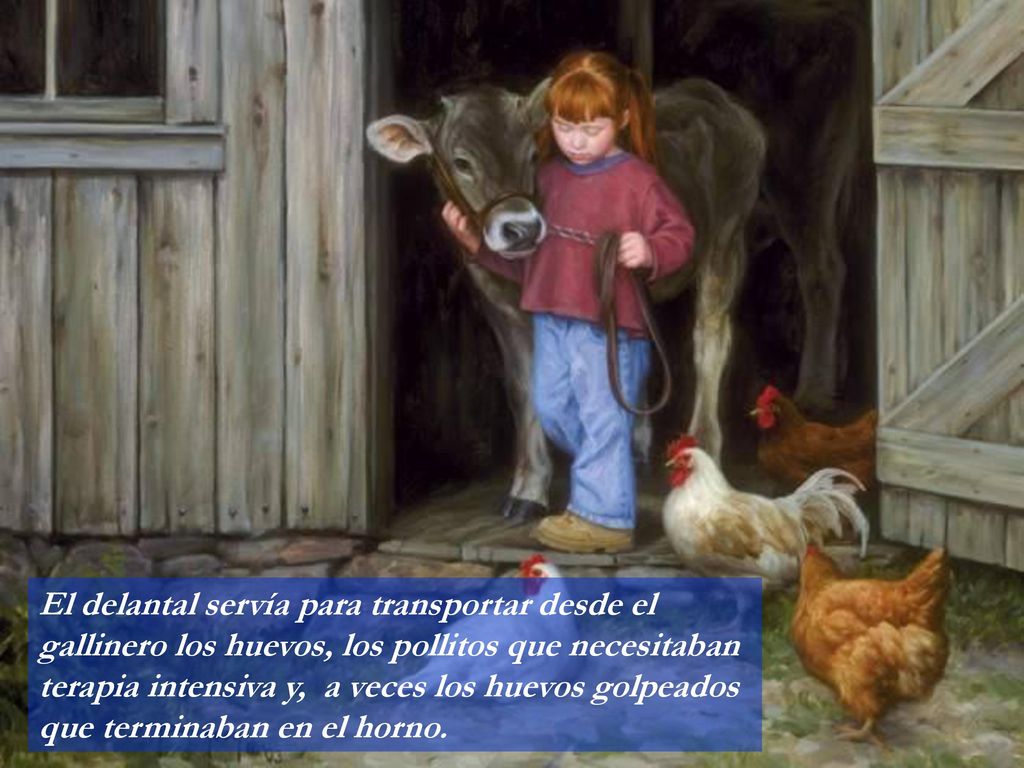 El delantal servía para transportar desde el gallinero los huevos, los pollitos que necesitaban terapia intensiva y, a veces los huevos golpeados que terminaban en el horno.
