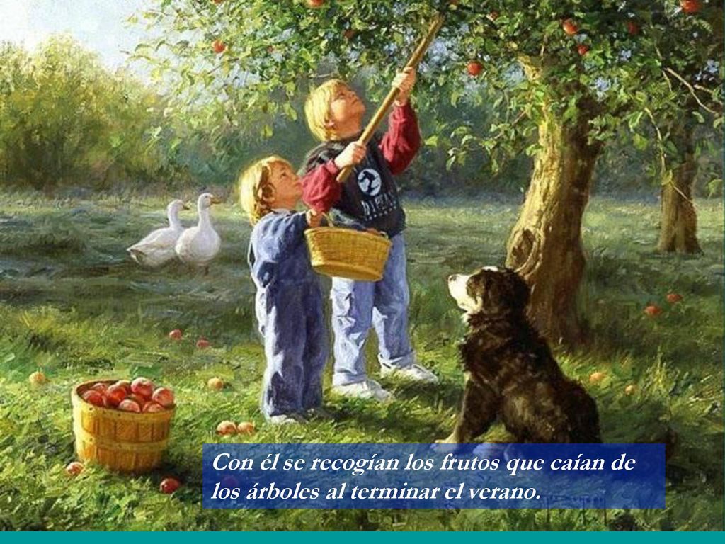 Con él se recogían los frutos que caían de los árboles al terminar el verano.