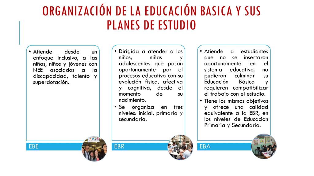ORGANIZACIÓN DE LA EDUCACIÓN BASICA Y SUS PLANES DE ESTUDIO