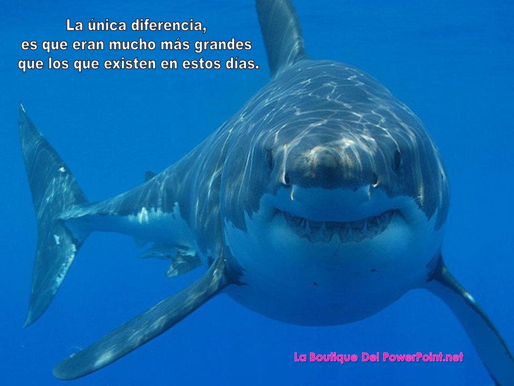 es que eran mucho más grandes que los que existen en estos días.