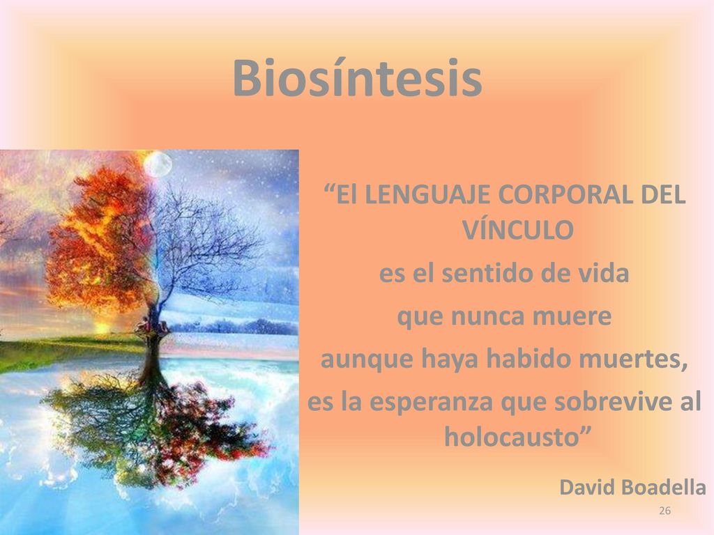 Biosíntesis El LENGUAJE CORPORAL DEL VÍNCULO es el sentido de vida
