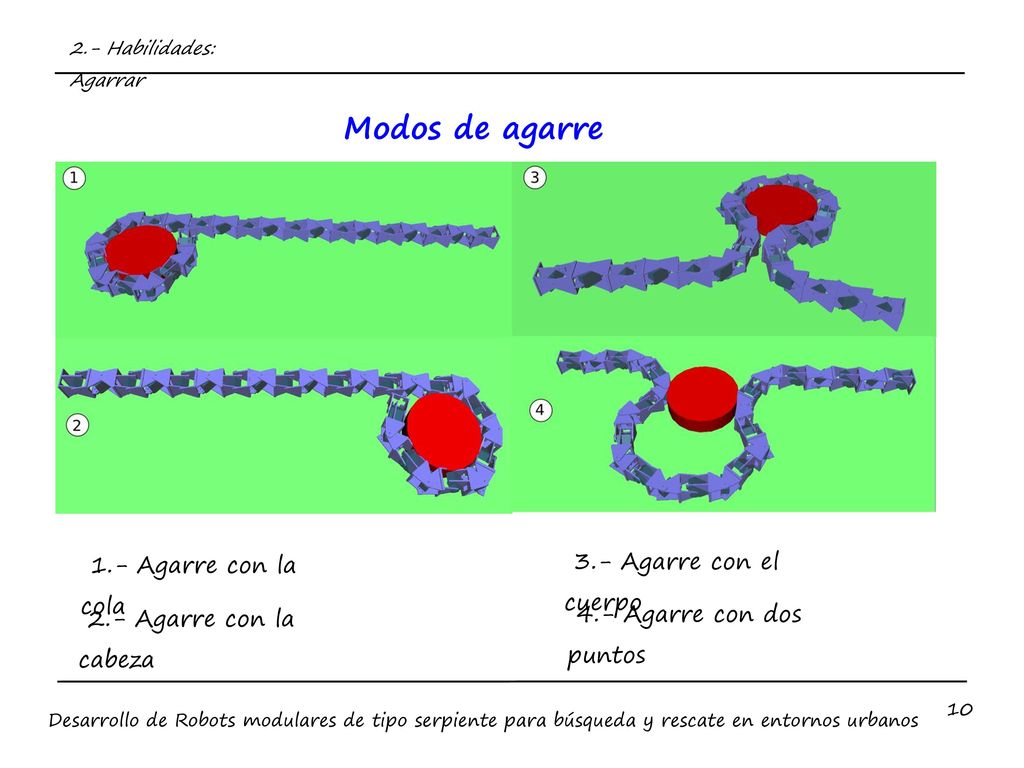 Modos de agarre 3.- Agarre con el cuerpo 1.- Agarre con la cola