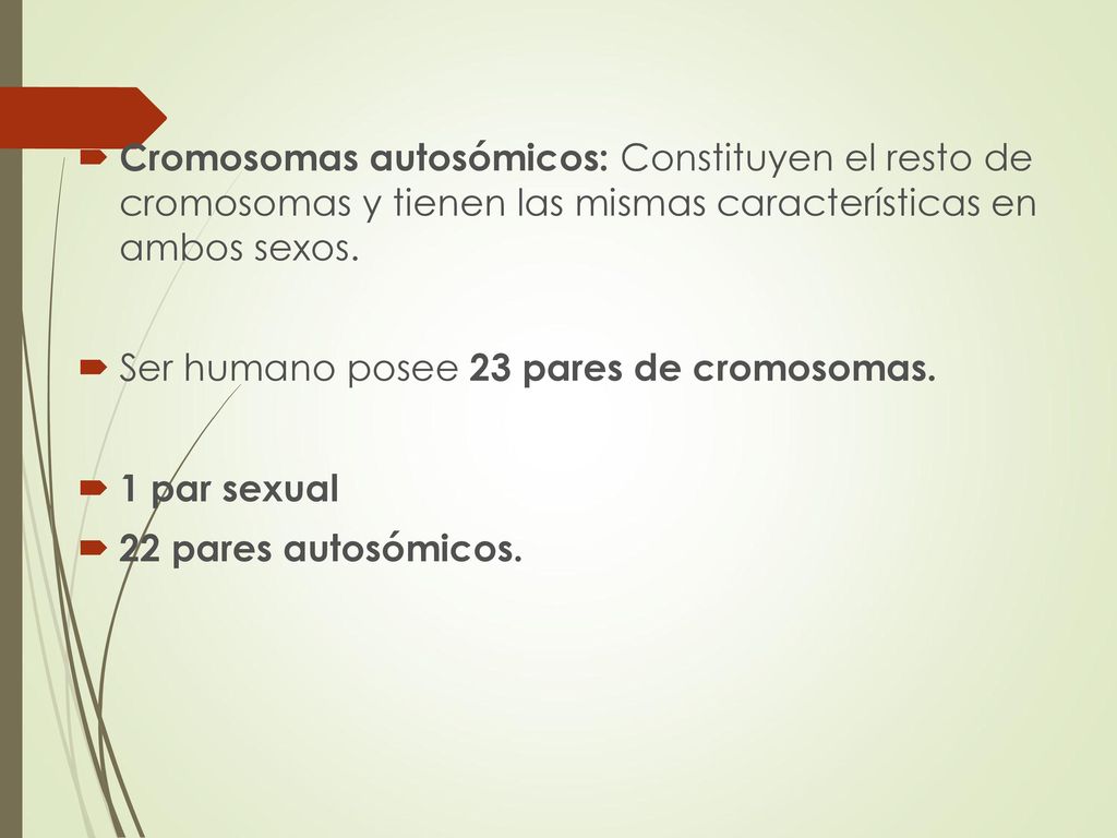 Cromosomas autosómicos: Constituyen el resto de cromosomas y tienen las mismas características en ambos sexos.