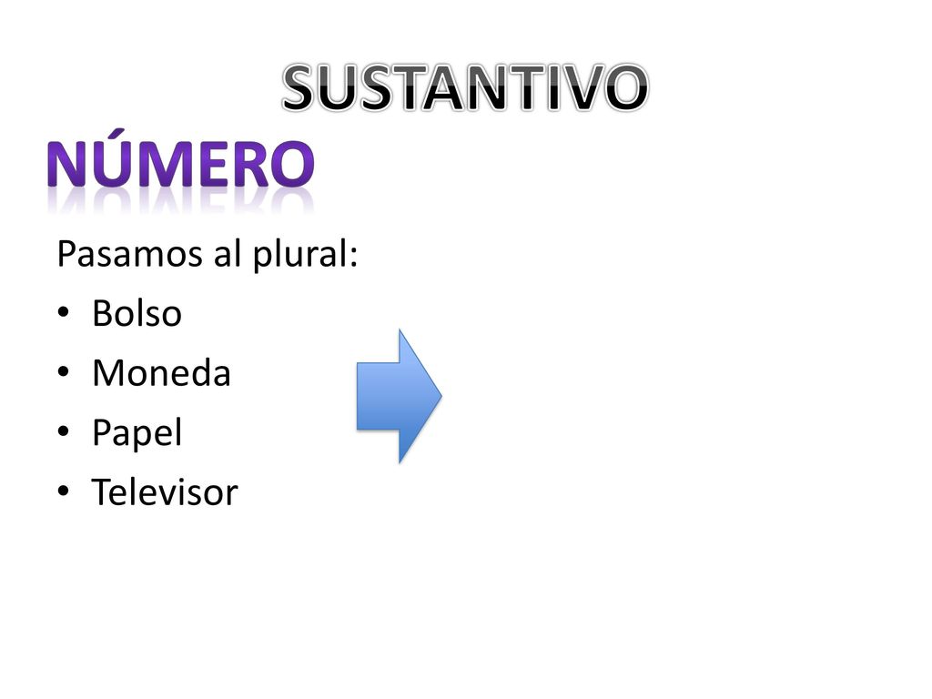 SUSTANTIVO NÚMERO Pasamos al plural: Bolso Moneda Papel Televisor