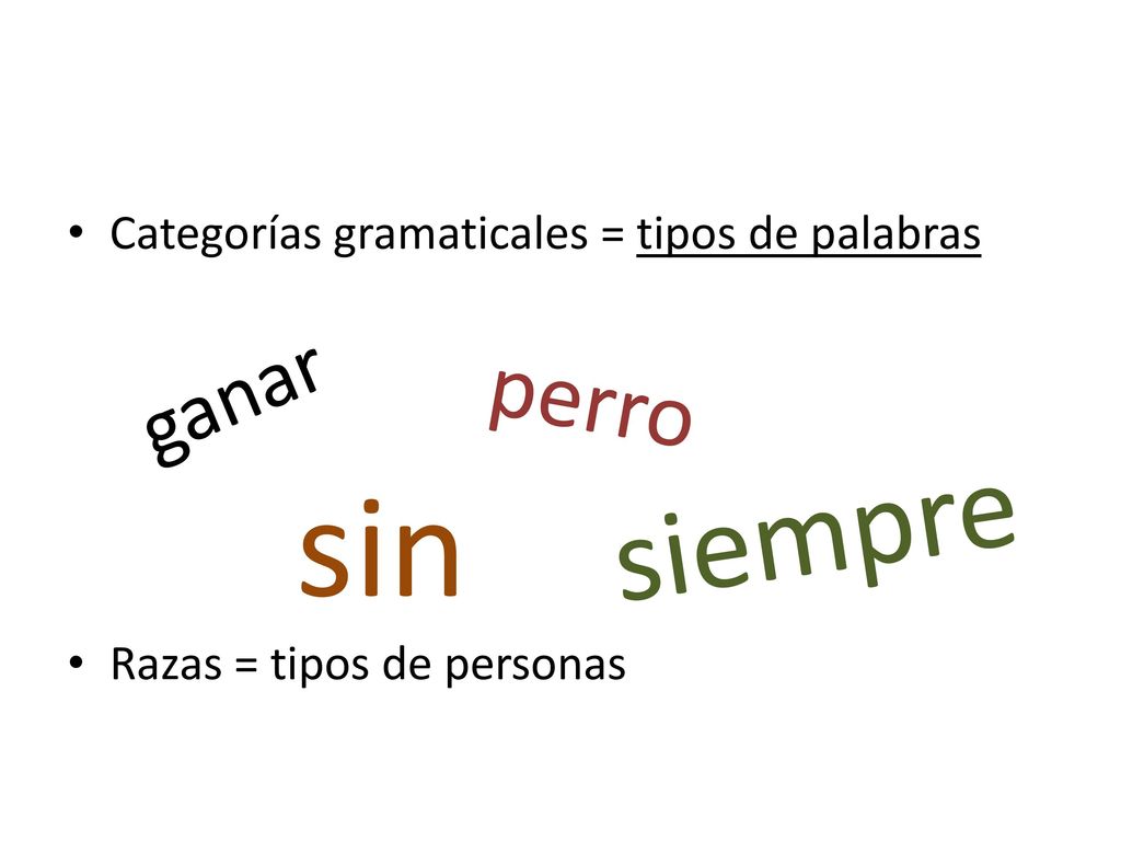 sin siempre perro ganar Categorías gramaticales = tipos de palabras