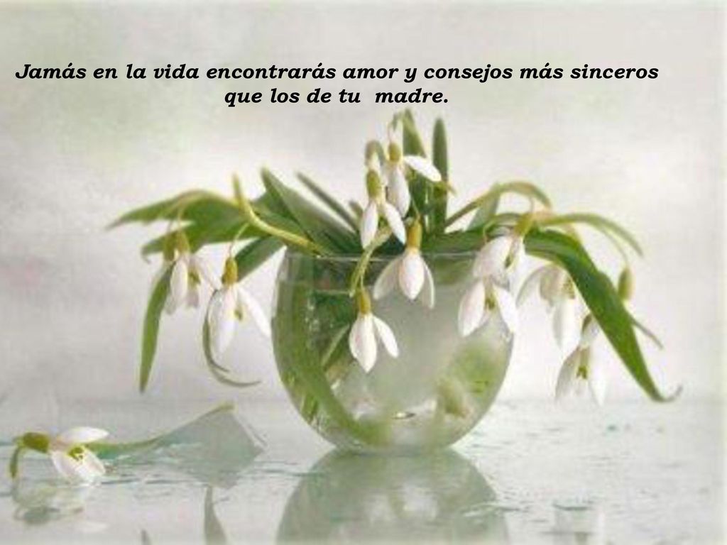 Jamás en la vida encontrarás amor y consejos más sinceros que los de tu madre.