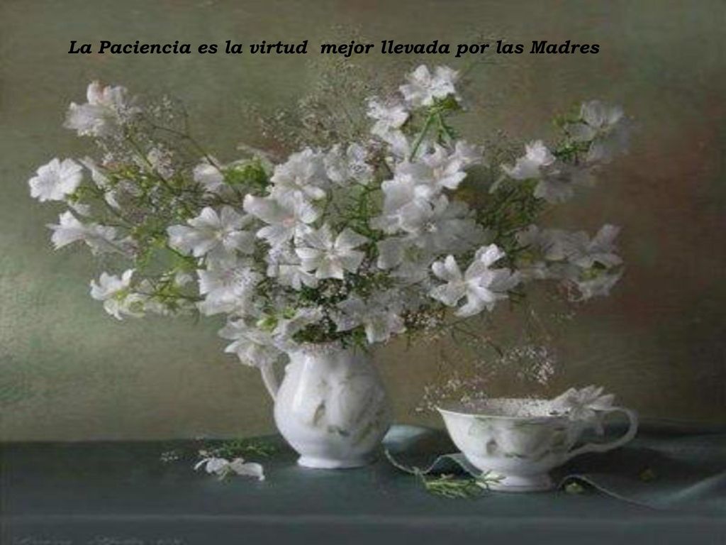 La Paciencia es la virtud mejor llevada por las Madres