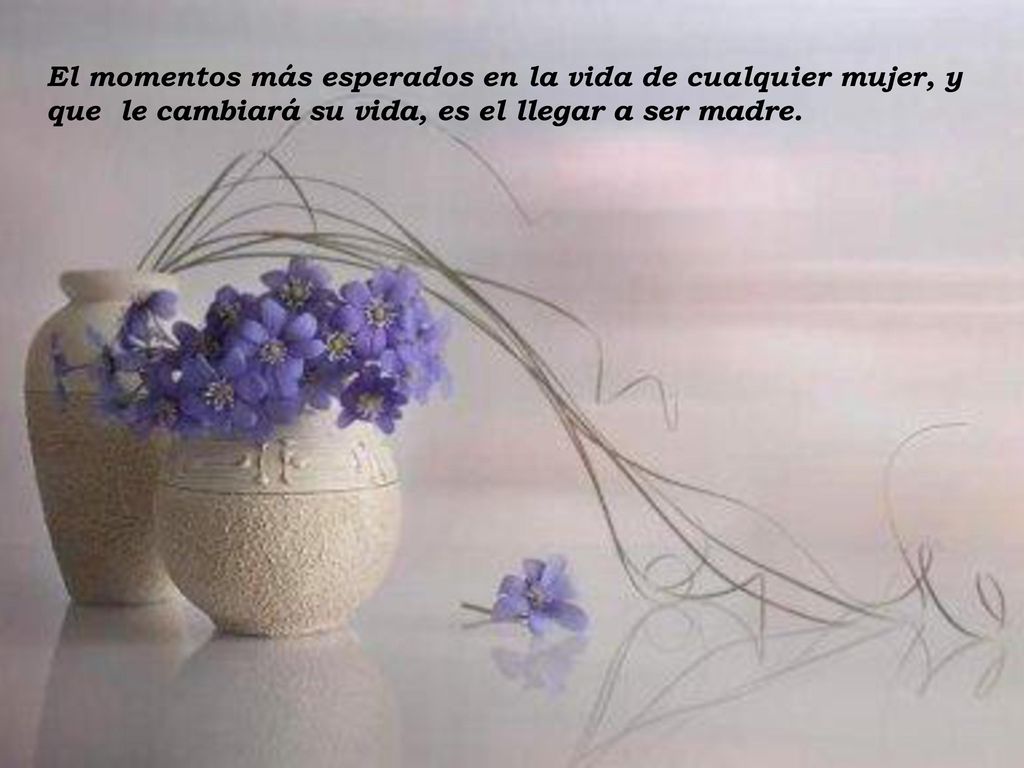 El momentos más esperados en la vida de cualquier mujer, y que le cambiará su vida, es el llegar a ser madre.