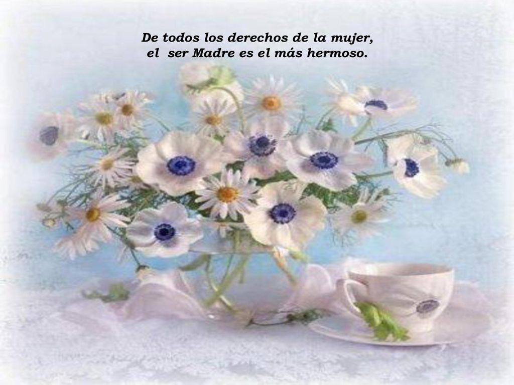 De todos los derechos de la mujer, el ser Madre es el más hermoso.