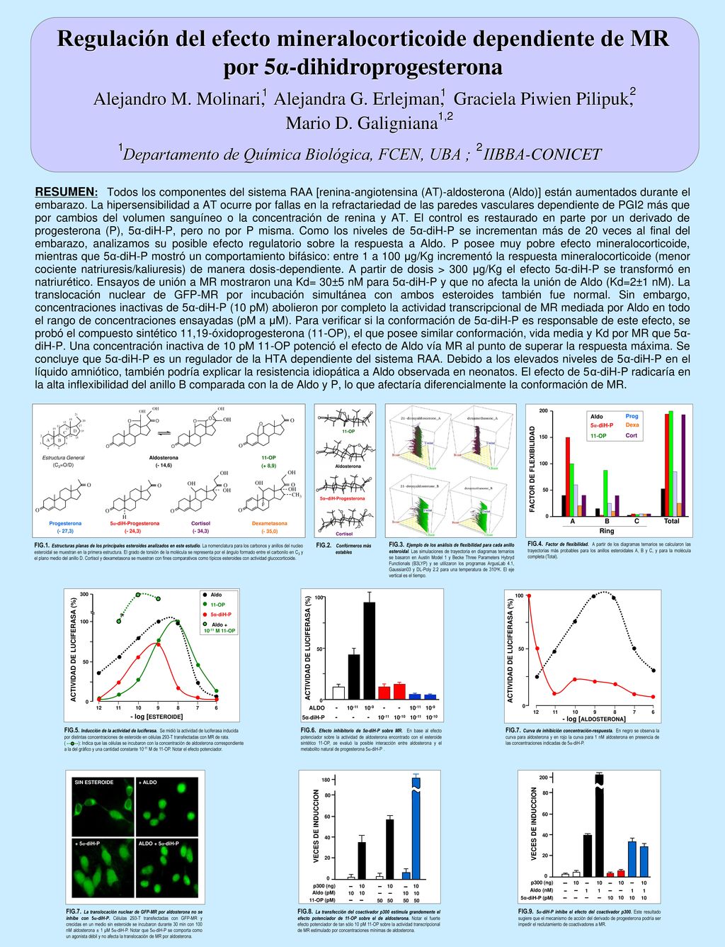 Regulación del efecto mineralocorticoide dependiente de MR
