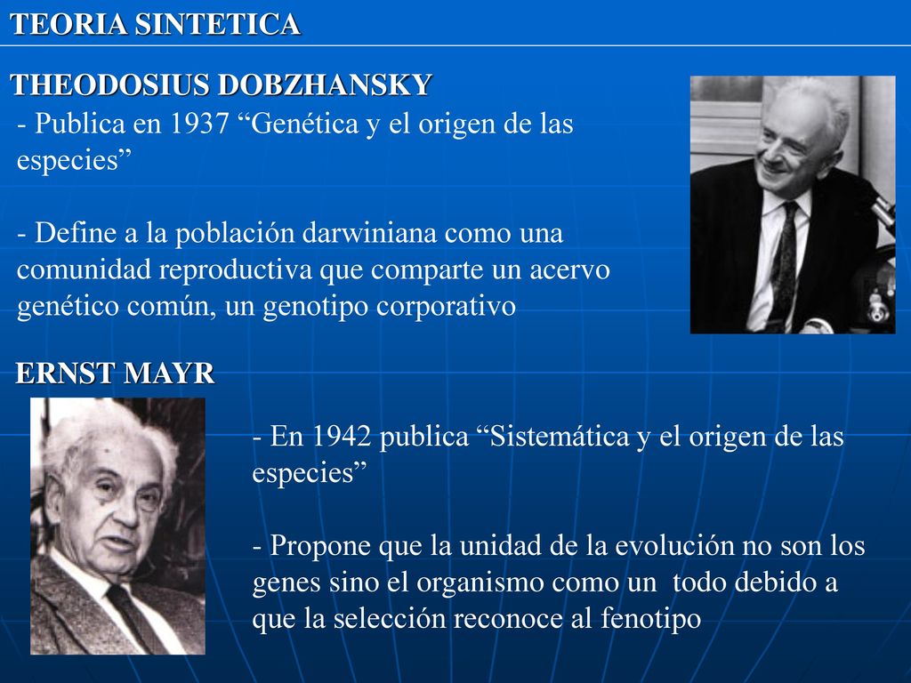 TEORIA SINTETICA THEODOSIUS DOBZHANSKY. - Publica en 1937 Genética y el origen de las especies
