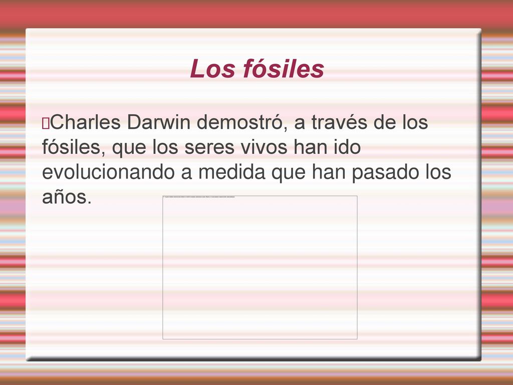 Los fósiles Charles Darwin demostró, a través de los fósiles, que los seres vivos han ido evolucionando a medida que han pasado los años.
