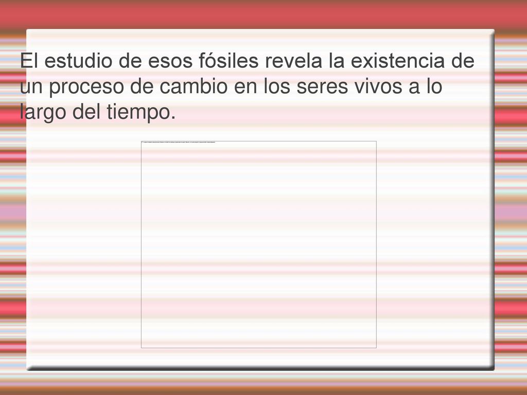 El estudio de esos fósiles revela la existencia de un proceso de cambio en los seres vivos a lo largo del tiempo.
