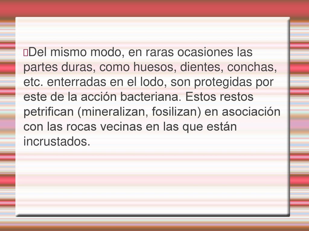Del mismo modo, en raras ocasiones las partes duras, como huesos, dientes, conchas, etc.