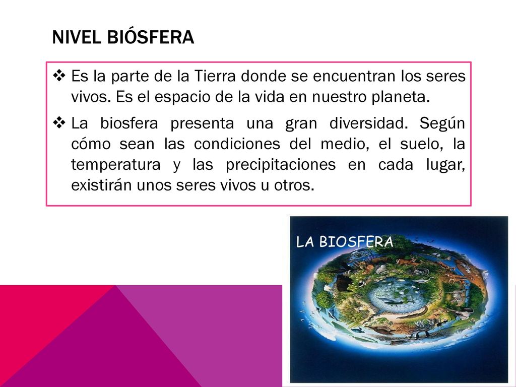 Nivel biósfera Es la parte de la Tierra donde se encuentran los seres vivos. Es el espacio de la vida en nuestro planeta.