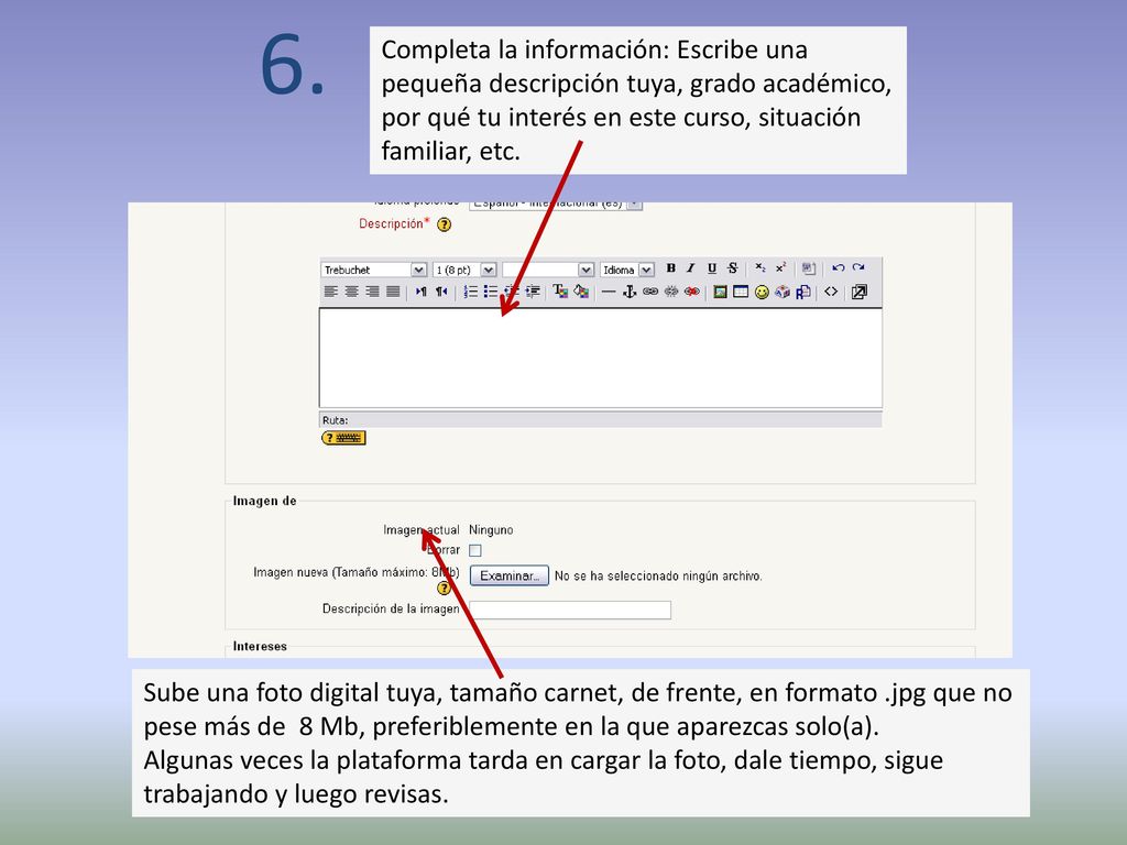 6. Completa la información: Escribe una pequeña descripción tuya, grado académico, por qué tu interés en este curso, situación familiar, etc.