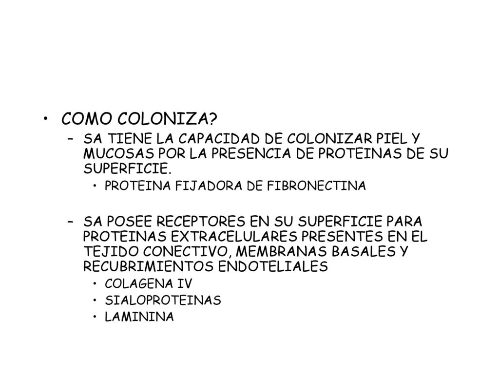 COMO COLONIZA SA TIENE LA CAPACIDAD DE COLONIZAR PIEL Y MUCOSAS POR LA PRESENCIA DE PROTEINAS DE SU SUPERFICIE.