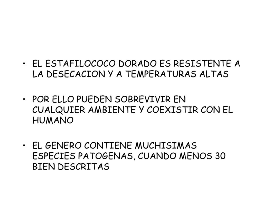 EL ESTAFILOCOCO DORADO ES RESISTENTE A LA DESECACION Y A TEMPERATURAS ALTAS