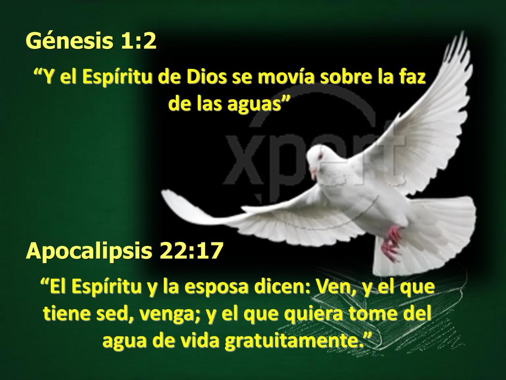 Y el Espíritu de Dios se movía sobre la faz de las aguas