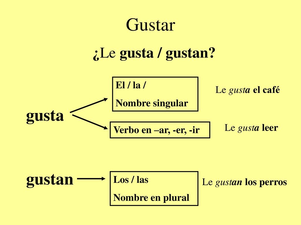 Gustar gusta gustan ¿Le gusta / gustan El / la / Le gusta el café