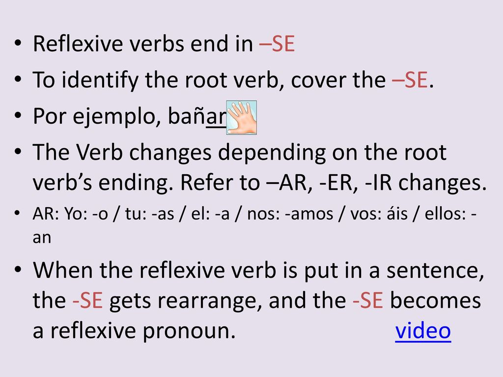 Reflexive verbs end in –SE To identify the root verb, cover the –SE.