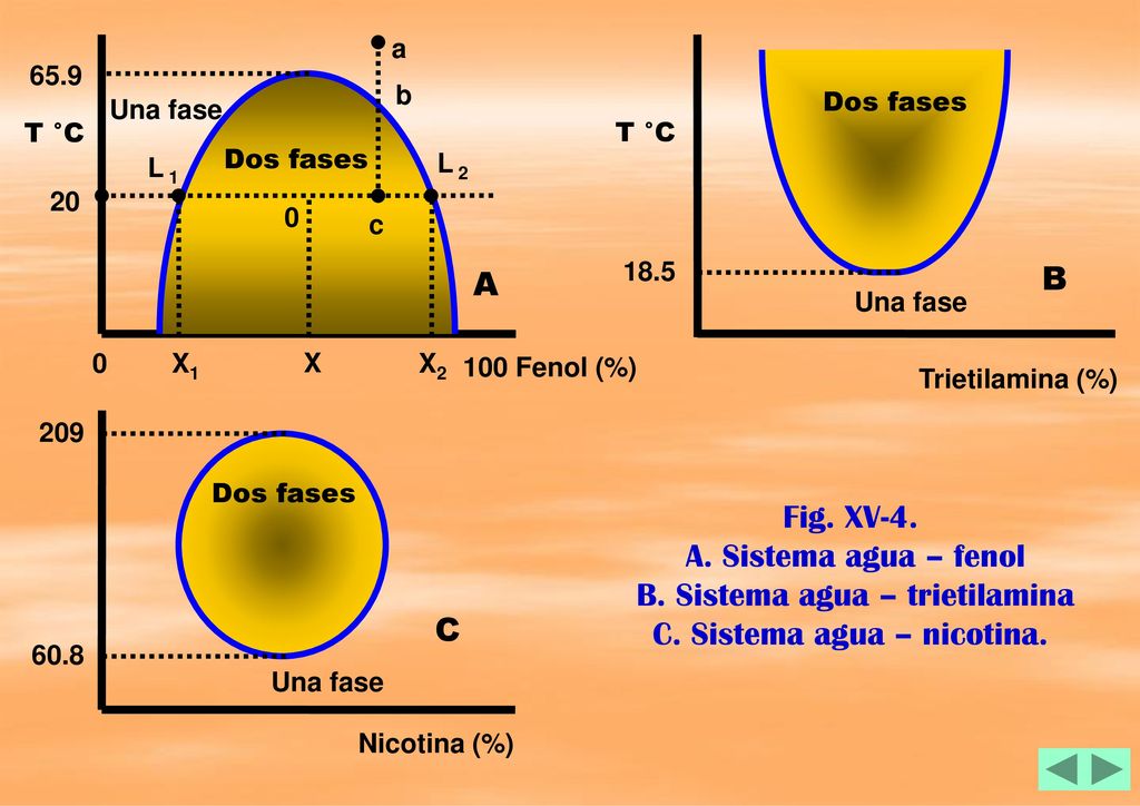 B. Sistema agua – trietilamina C. Sistema agua – nicotina.