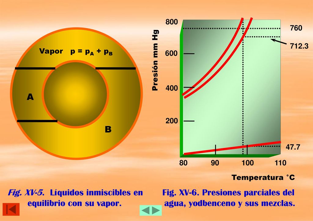 Fig. XV-5. Líquidos inmiscibles en equilibrio con su vapor.