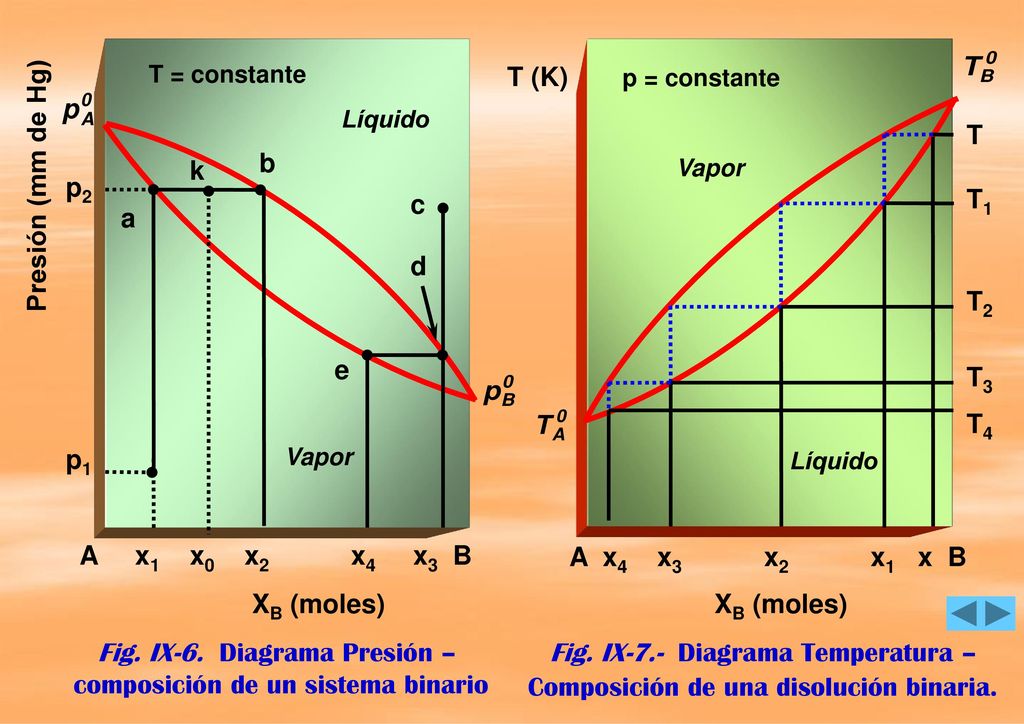 Fig. IX-6. Diagrama Presión – composición de un sistema binario